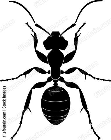 Ant Design