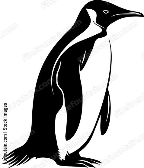 Antarctica Animals