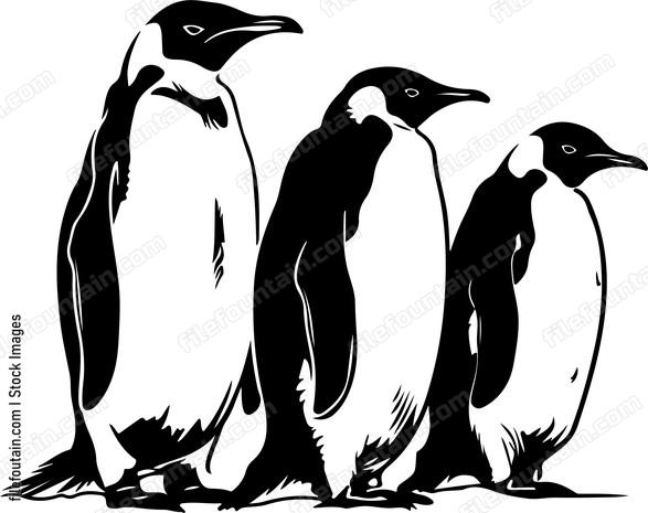 Antarctica Penguins
