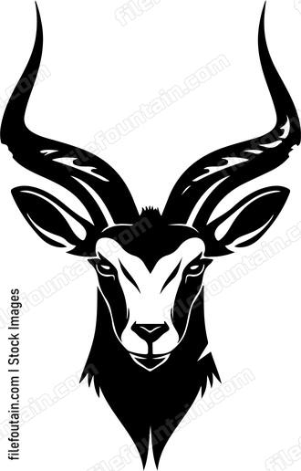 Antelope
