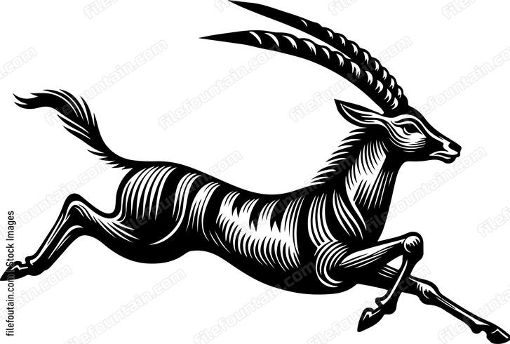 Antelope Running