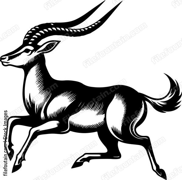 Antelope Running