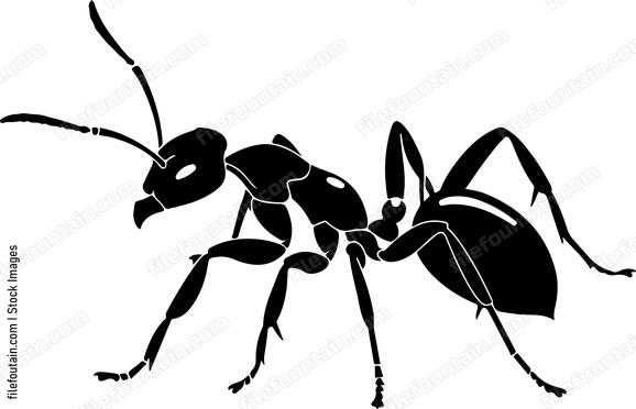 Ants