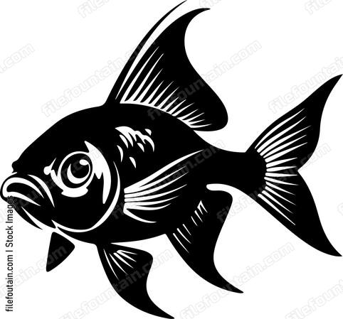 Aquarium Fish