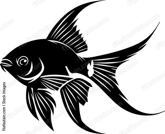 Aquarium Fish