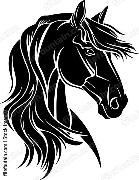 Arabian Horse