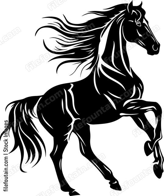 Arabian Horse
