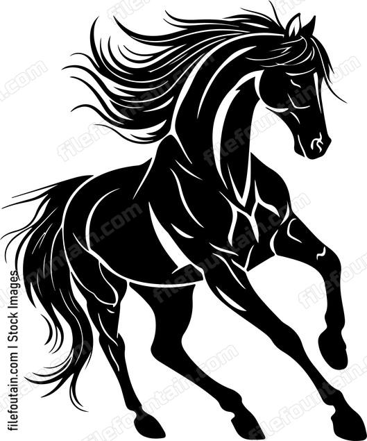 Arabian Horse