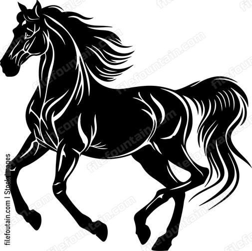 Arabian Horse
