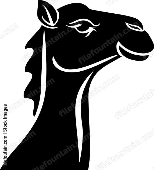 Asian Camel