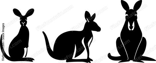Australia Animals