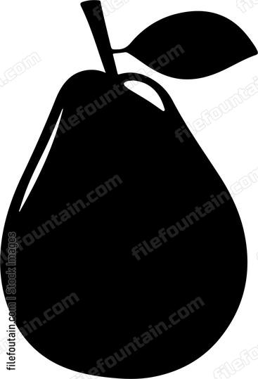 Avocado Fruit