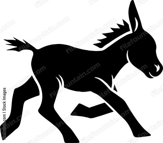 Baby Donkey Running