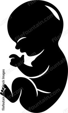 Baby Fetus