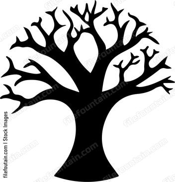 Baobab Tree