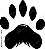 Bear Back Paw