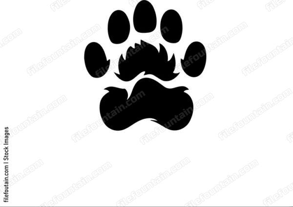 Bear Back Paw