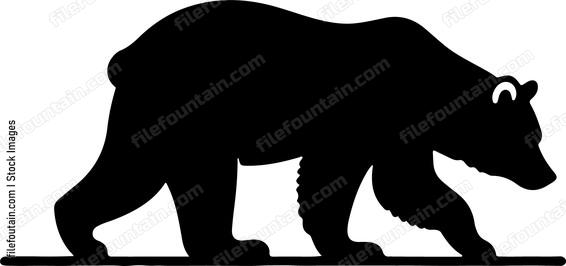 Bear walking