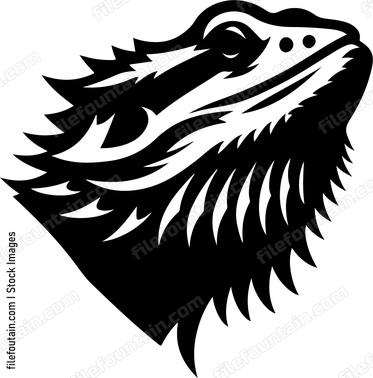 Bearded Dragon