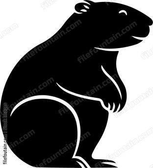 Beaver