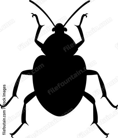 Bed Bug