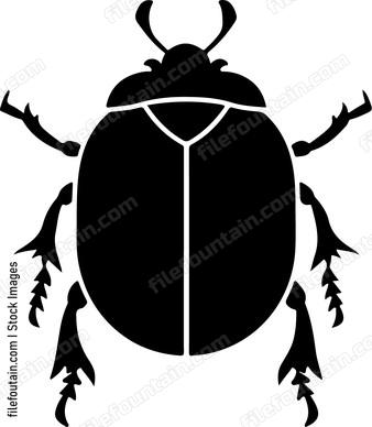 Beetle