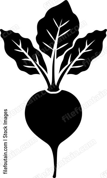 Beetroot