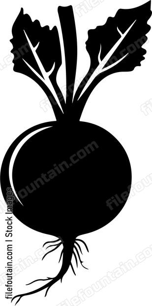Beetroot