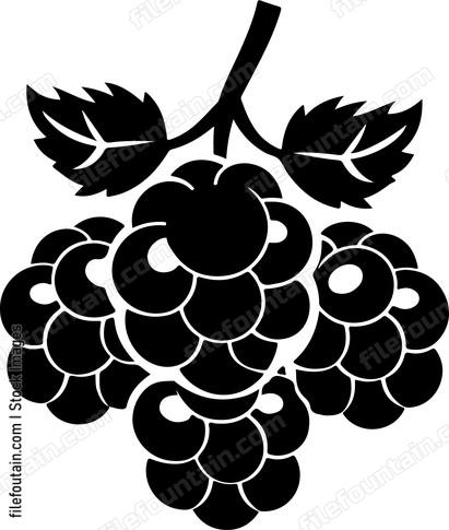 Berries Fruits