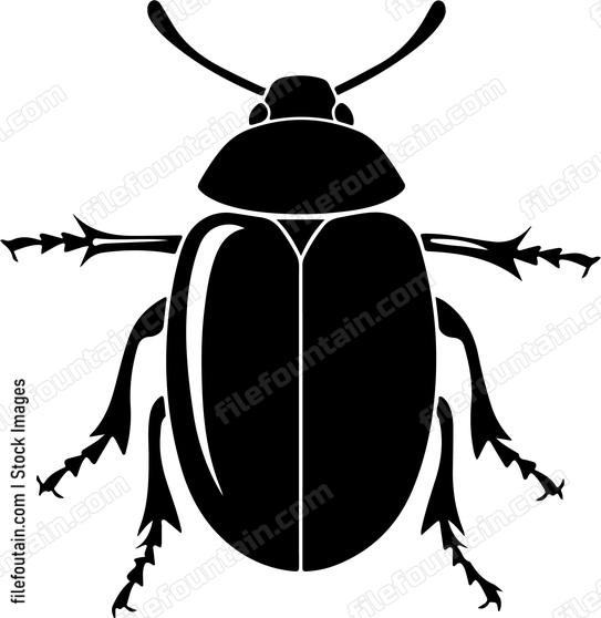 Bettle Close Up