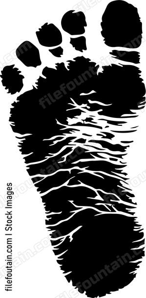 Bigfoot Footprint Tracks