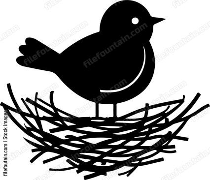 Bird Nest