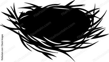 Bird Nest