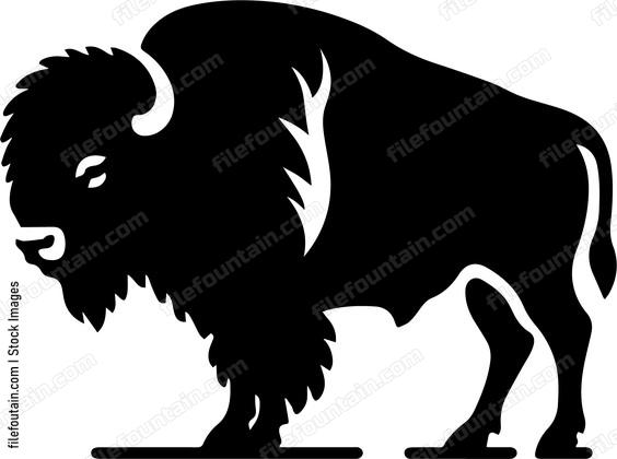 Bison