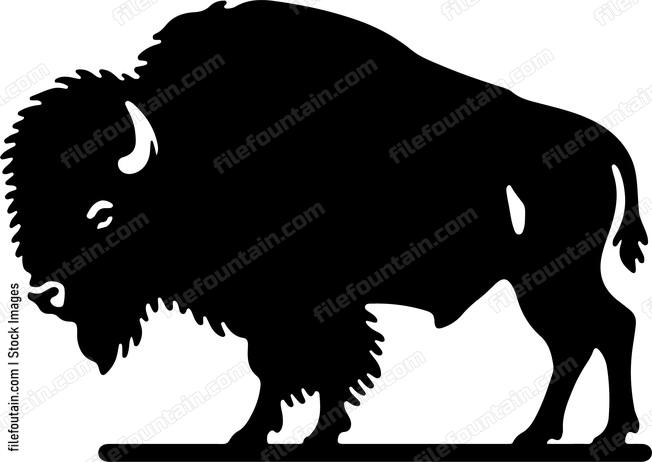 Bison