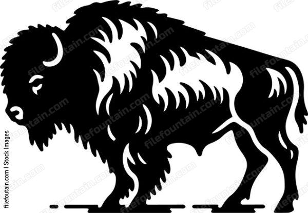 Bison