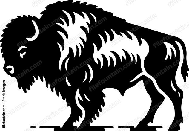Bison