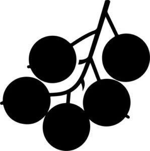 Black Currant Berries With Leaves