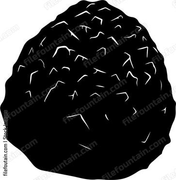 Black Truffle
