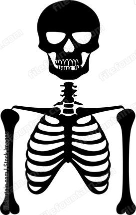 Bones
