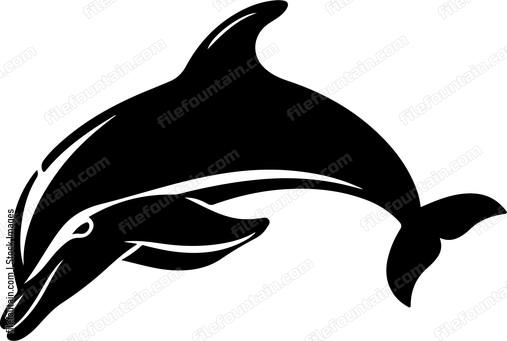 Bottle Nose Dolphin