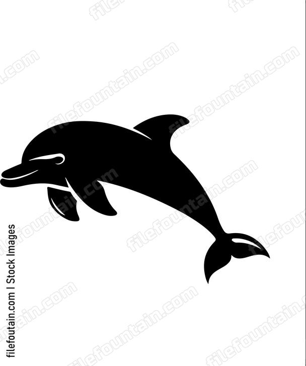 Bottle Nose Dolphin