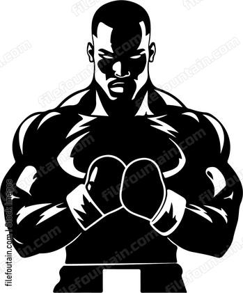 Boxer