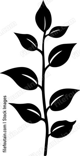 Branch With Leaves