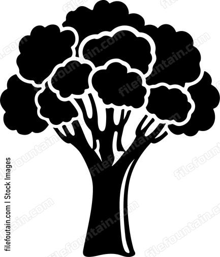 Broccoli Whole