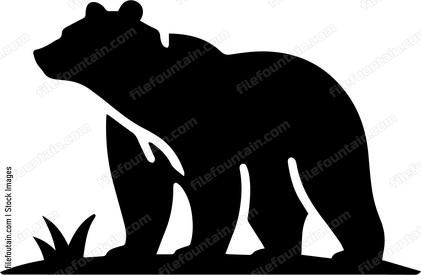 Brown Bear
