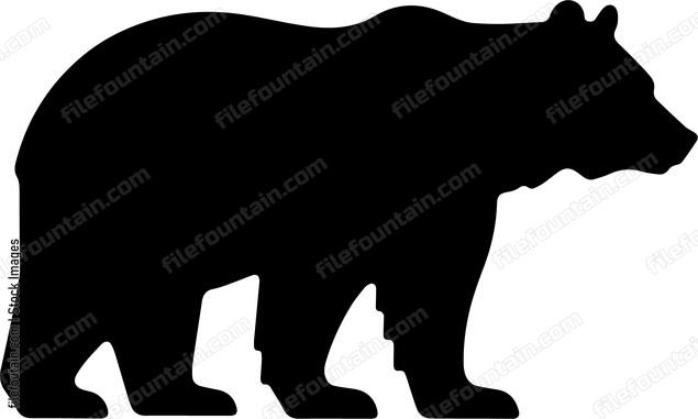 Brown Bear