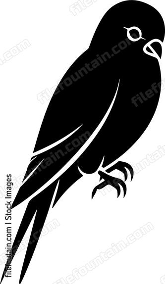 Budgie Bird