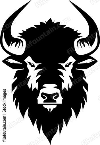 Buffalo Head