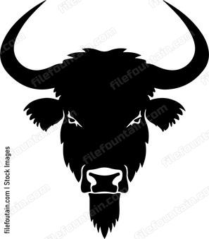Buffalo Head